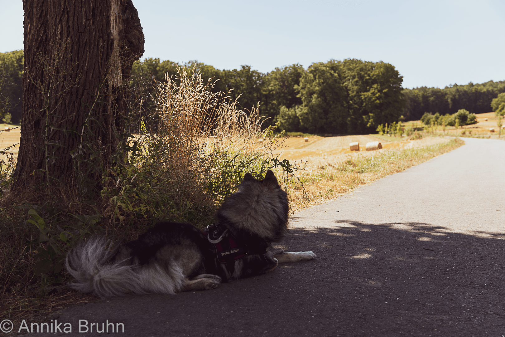Warten im Schatten!